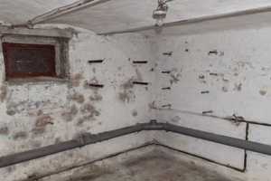 HOMESK - Sanierungsbedürftige Doppelhaushälfte mit ca. 1.410 m² Grundstück in Britz – Seerosensteig 14, 12347 Berlin – Vorschaubild 40