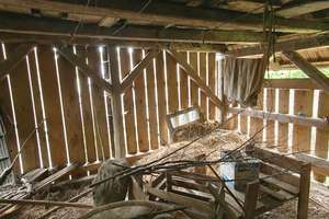 Ehemaliges landwirtschaftliches Anwesen mit Gewölbekeller in Stuppach  am Ortsrand gelegen! T – Die vollständige Adresse der Immobilie erhältst du vom Anbieter., 97980 Bad Mergentheim – Vorschaubild 24