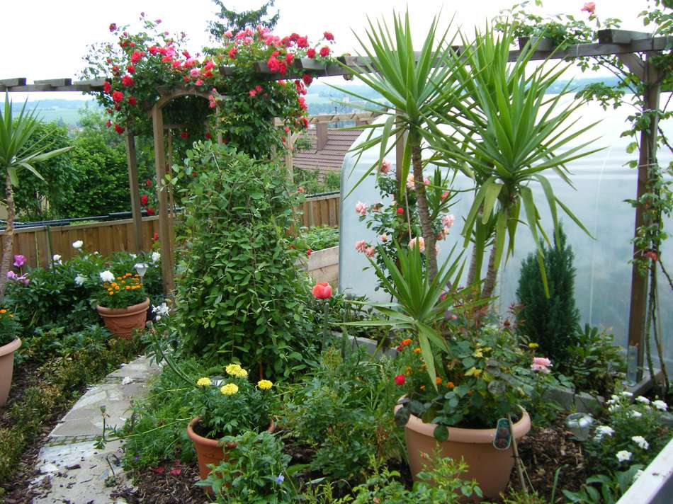Blumenbeet
