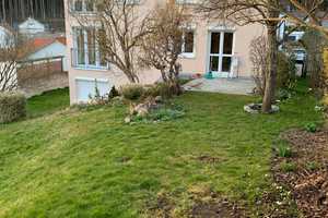 Schönes, sonniges Einfamilienhaus mit Garten in verkehrsberuhigter Lage  – Memmingen – Vorschaubild 1