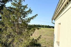 Einfamilienhaus im Grünen - bis zu 50% BAFA förderfähig inkl. vollumfänglichem Sanierungsfahrplan! – Die vollständige Adresse der Immobilie erhältst du vom Anbieter., 1619 Zeithain – Vorschaubild 12