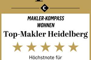 Neuer Preis: Historisches Kulturdenkmal in Heidelberg – 4 Wohneinheiten, davon 3 leerstehend – Die vollständige Adresse der Immobilie erhältst du vom Anbieter., 69117 Altstadt, Heidelberg – Vorschaubild 14