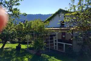 großes Haus in Traben-Trarbach Mosel 900 qm Wfl. + Nfl. – Die vollständige Adresse der Immobilie erhältst du vom Anbieter., 56841 Traben-Trarbach – Vorschaubild 27