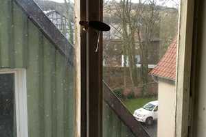 Haus in Wanfried - zentral aber ruhig – Brauhausplatz 3, 37281 Werra-Meißner-Kreis – Vorschaubild 49