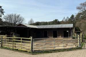 Reitanlage mit Stall und schönen Landhaus in St. Ingbert-Hassel zu verkaufen. – Die vollständige Adresse der Immobilie erhältst du vom Anbieter., 66386 Sankt Ingbert – Vorschaubild 23