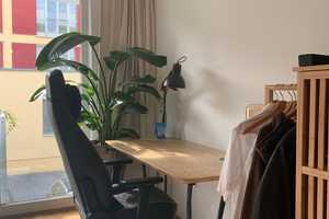 ruhiges 1-Zimmer Apartment mit Balkon in Toplage zu Innenstadt und Uni – Regensburg – Vorschaubild 4