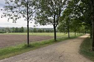 Wohnen in der ersten Reihe zu den Donauauen mit 3 Zimmern in Regensburg – Kurt-Schumacher-Straße 20, 93049 Westenviertel, Regensburg – Vorschaubild 2