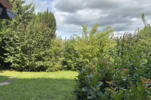 Bezugsfrei zwischen City und Rod im Grünen! – Pforzheim – Vorschaubild 3