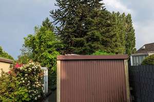 Property thumbnail 20