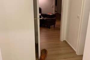 Schöne 4-Zimmerwohnung im Süden von Essen - unmöbliert – Heierbusch 2, 45133 Bredeney, Essen – Vorschaubild 10
