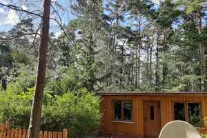 Zwei Ferienbungalows mit Fasssauna am Pinnower See - Reserviert – Spree-Neiße (Kreis) – Vorschaubild 17