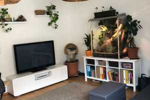 Stilvolle, modernisierte 2-Raum-Wohnung mit Balkon und Einbauküche in München Laim – Kirchmairstraße 38, 80686 München – Vorschaubild 5