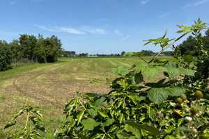 *** Neues Familiendomizil in ruhiger Lage von Grefrath *** – Viersen (Kreis) – Vorschaubild 9