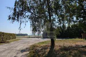 große Doppelhaushälfte in Eltze, inkl,  Mieteinnahmen – Hannover (Kreis) – Vorschaubild 5