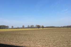 *** Für Ruhesuchende *** Ein-oder Zweifamilienhaus in Feldrandlage *** – Lüneburg (Kreis) – Vorschaubild 28