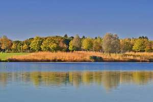 Property thumbnail 26