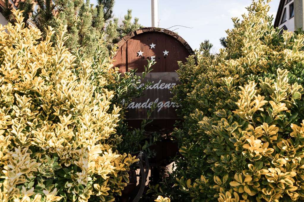 Immobilie in Deidesheim - Erstbezug nach Sanierung - Residenz Mandelgarten in Deidesheim - Bild 1