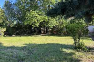 Villa mit viel Platz in ruhiger Lage von Maxdorf nur für gewerbliche Nutzung zu vermieten!  – Sohlstraße 78, 67133 Maxdorf – Vorschaubild 5
