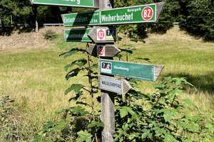 Hof - Pferdehof / Bauernhof mit 18.000 m2 nähe Tittling TOP LAGE an der B-85 – Die vollständige Adresse der Immobilie erhältst du vom Anbieter., 94163 Saldenburg – Vorschaubild 43