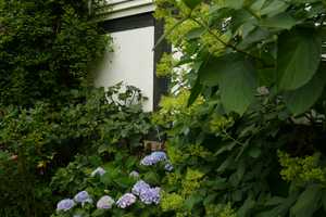 Prächtiges Wohn-Atelier-Fachwerkhaus im Naturpark Kellerwald – Kellerwaldstraße 15, 34537 Waldeck-Frankenberg (Kreis) – Vorschaubild 37