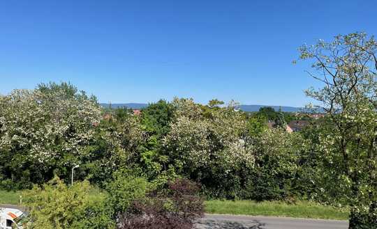 "Nah am Wasser gebaut" und von viel Natur umgeben: "Aussichtsreiche" 3-Zimmer-ETW in MA.-Rheinau-Süd