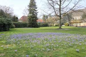 Rarität! Imposantes Einfamilienhaus mit parkähnlichem Gartengrundstück in Waldrandlage! – Die vollständige Adresse der Immobilie erhältst du vom Anbieter., 27777 Ganderkesee – Vorschaubild 6
