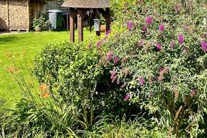 Schmuckstück mit großem Garten und Einliegerwohnung wartet auf Sie. – Die vollständige Adresse der Immobilie erhältst du vom Anbieter., 75378 Bad Liebenzell – Vorschaubild 8