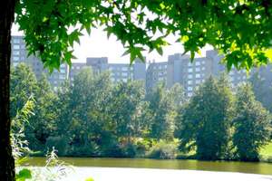 Frisch renovierte 2-Zimmer-Wohnung in Damstadt-Kranichstein