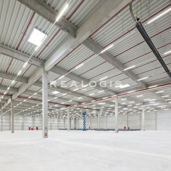 Hochwertiger Logistikneubau, ca. 5.000 m² moderne Hallenfläche zu vermieten