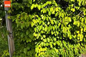 Property thumbnail 23