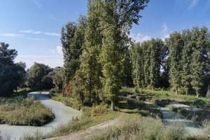 ***EINMALIGE GELEGENHEIT*** Herrschaftliche Villa in eingewachsener Parkanlage mit Gewerbeeinheiten – Die vollständige Adresse der Immobilie erhältst du vom Anbieter., 94140 Ering – Vorschaubild 45