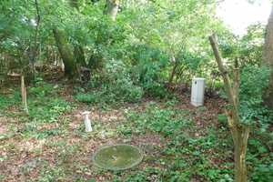 Traumhaftes Grundstück mit Bauernhaus, ca. 7 ha Wald, Teich und Nebengebäude – Parchim (Kreis) – Vorschaubild 17