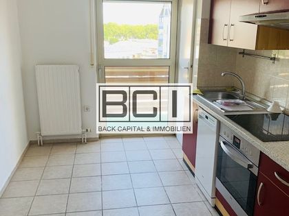 Wohnung Mieten In Neckarstadt Ost Wohlgelegen Immobilienscout24