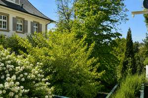 Zuhause mit Gartencharakter in Freiburg-Herdern – Die vollständige Adresse der Immobilie erhältst du vom Anbieter., 79104 Neuburg, Freiburg im Breisgau – Vorschaubild 4