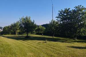 Viel Platz für die große Familie ~ Gepflegtes Wohnhaus mit überdachtem Außenschwimmbad ... – Die vollständige Adresse der Immobilie erhältst du vom Anbieter., 74838 Limbach – Vorschaubild 21