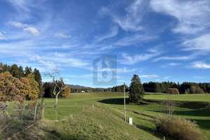 GEMÜTLICH MIT TRAUMHAFTER AUSSICHT – Die vollständige Adresse der Immobilie erhältst du vom Anbieter., 88167 Maierhöfen – Vorschaubild 3