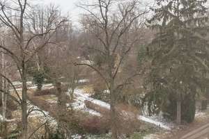 HOMESK - Bezugsfreie, kernsanierte 3-Zimmer-Wohnung mit Südwest-Balkon, 2 Bädern & Wohnküche – Eisackstraße 34, 10827 Schöneberg, Berlin – Vorschaubild 48