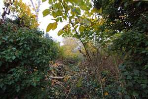 Property thumbnail 17