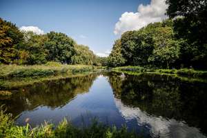 Property thumbnail 13