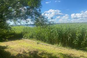 Großzügiges, bezauberndes Reetdachhaus an der Schlei – Die vollständige Adresse der Immobilie erhältst du vom Anbieter., 24857 Fahrdorf – Vorschaubild 26