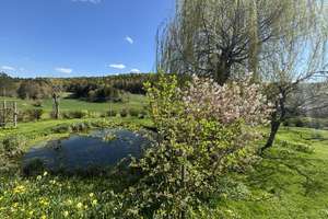 Modernisiertes Mehrfamilienhaus mit Nebengebäuden in idyllischer Lage mit 4,3 h großem Anwesen – Hetzendorf 3, 91282 Betzenstein – Vorschaubild 11