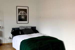 1-Zimmer Wohnung in Münster-Neutor mit 40 m² Wohnfläche – Steinfurter Straße 7a, 48149 Neutor, Münster – Vorschaubild 12