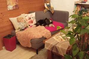 wieviel ist dir Freiheit Wert? EFH  in exponierter Lage PV , Brunnen, Wald, Weiher,gr Halle, carport – Die vollständige Adresse der Immobilie erhältst du vom Anbieter., 92271 Freihung – Vorschaubild 6
