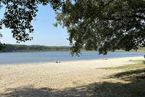 Familienidyll in Panketal: Großzügiges EFH mit Garten, naturnah & citynah zugleich! – Barnim (Kreis) – Vorschaubild 24