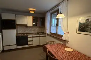 ruhiges + helles möbl. 1 Zi.-Appartement für 1 Person, Süd-Balkon – Pfarrer May-Str. 0, 55270 Mainz-Bingen (Kreis) – Vorschaubild 4