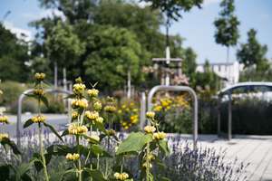 Property thumbnail 13