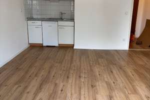 Renoviertes 1-Zimmer Apartment in Erlangen-Sieglitzhof zu vermieten – Die vollständige Adresse der Immobilie erhältst du vom Anbieter., 91054 Sieglitzhof, Erlangen – Vorschaubild 3