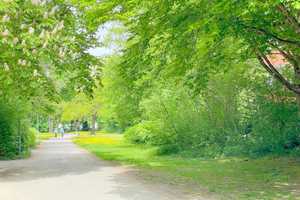 Property thumbnail 6