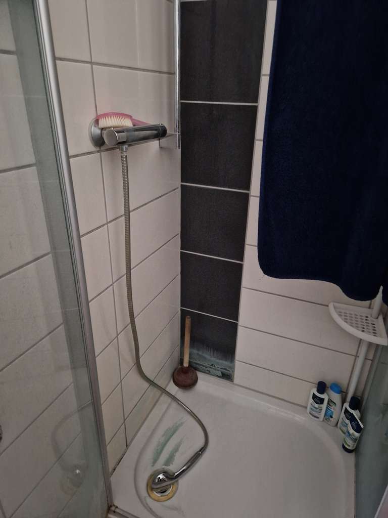 Immobilie in Lenningen - Gepflegte 3-Zimmer Wohnung in Lenningen (Baujahr 1958) - Bild 4