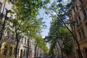 Helle und ruhige 3 -Raum-Wohnung im 4. OG mit Balkon und Aufzug in Leipzig – Ludwigstr. 101, 4315 Leipzig – Vorschaubild 1